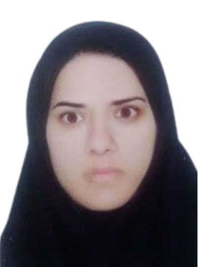 Dr. Somayeh Bahramnejad